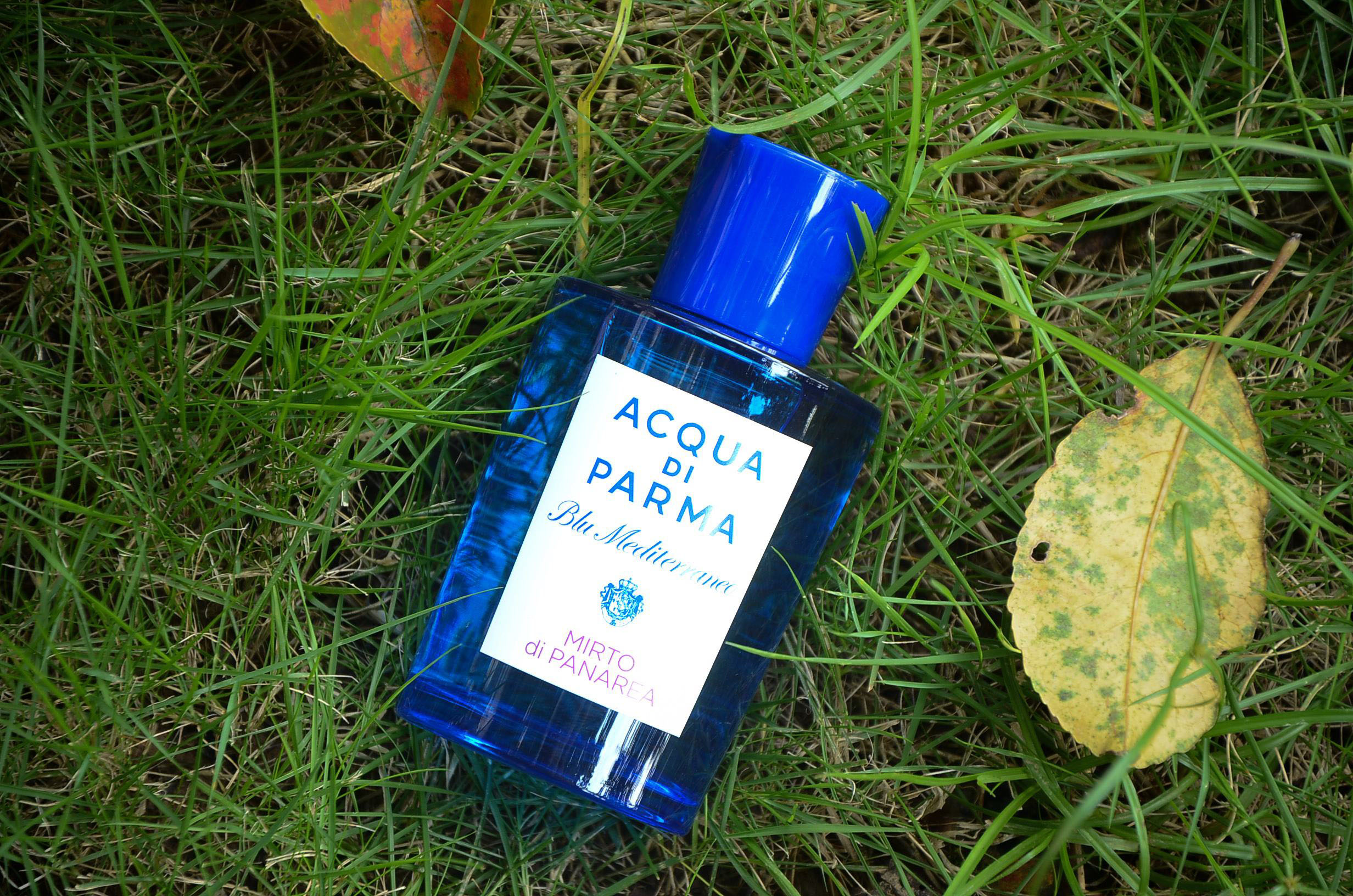 撞香比撞衫更可怕!轻*女熟**必备这7款小*香众**水,闺蜜都羡慕你的美