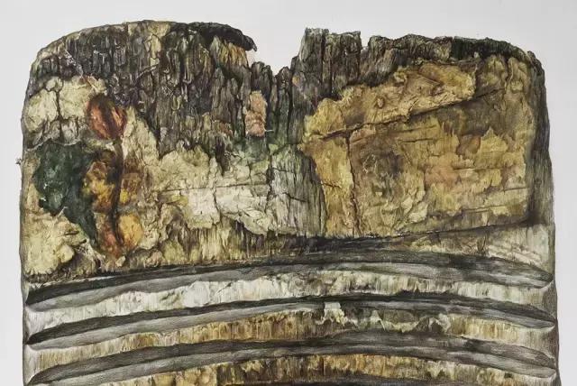 画得比照片还逼真,画得太逼真了怎么形容