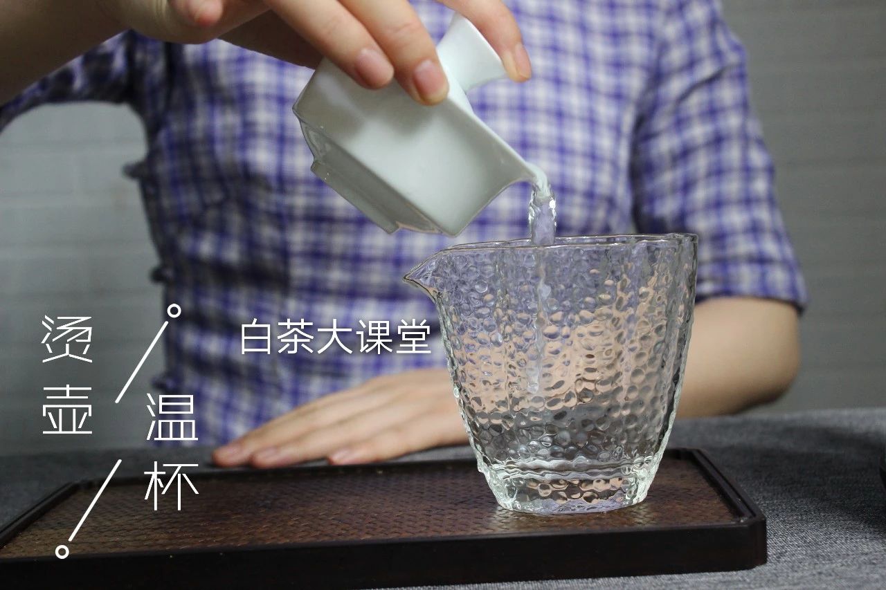 白茶要如何泡茶好喝又简单,泡茶的正确方法和泡白茶步骤视频