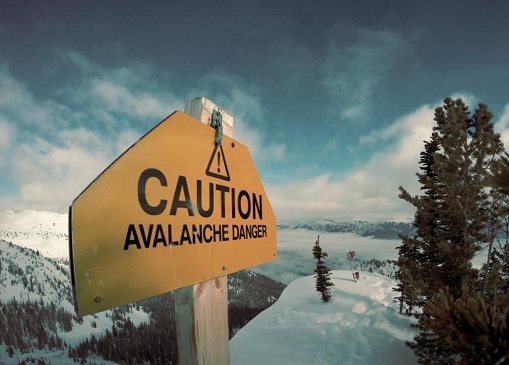 仙乐健康安徽科技股份有限公司,汕头市仙乐健康科技有限公司