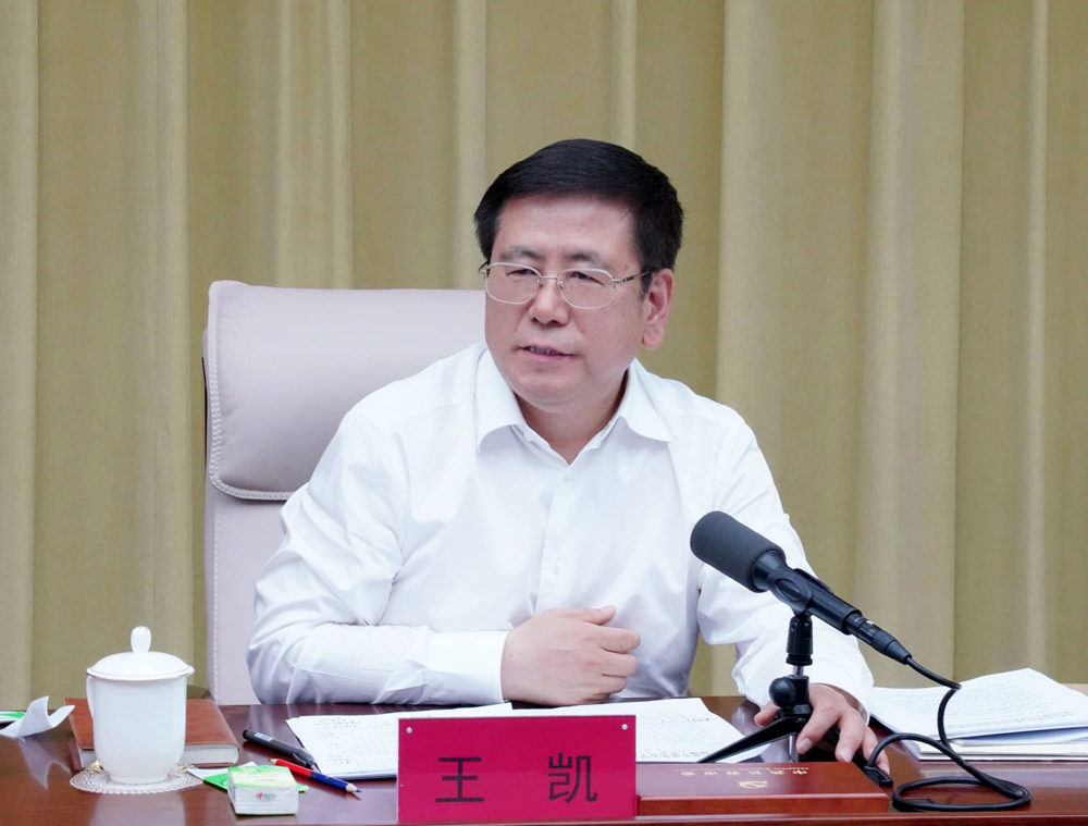 王凯积极向上,常态化推进文明城市建设表态发言