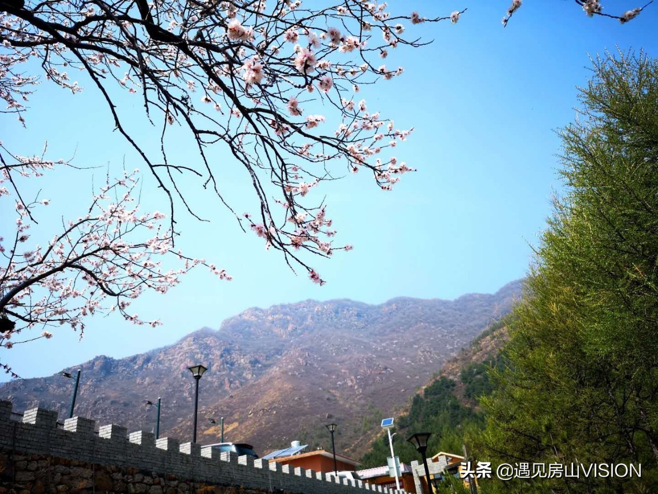 人间四月芳菲天,最美春天在房山——蒲洼行记