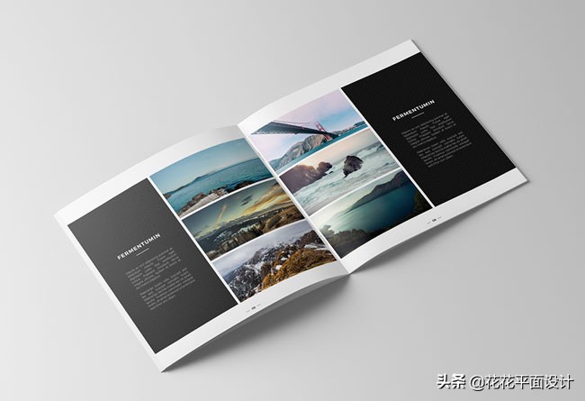 画册版式设计欣赏,艺术画册版式欣赏