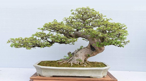 如何寻找商机抓住商机,农村有什么商机最有前景