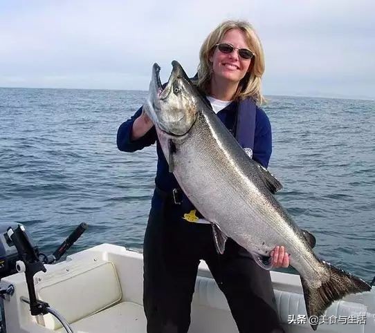 进口挪威三文鱼是冷鲜的吗,挪威三文鱼能放心吃吗