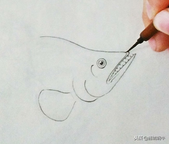 鳜鱼画法小视频,鳜鱼工笔画法视频