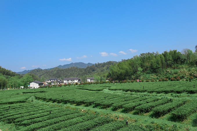 疫情对湖南这里居然丝毫没有影响！0病发，还超级适合徒步旅行！