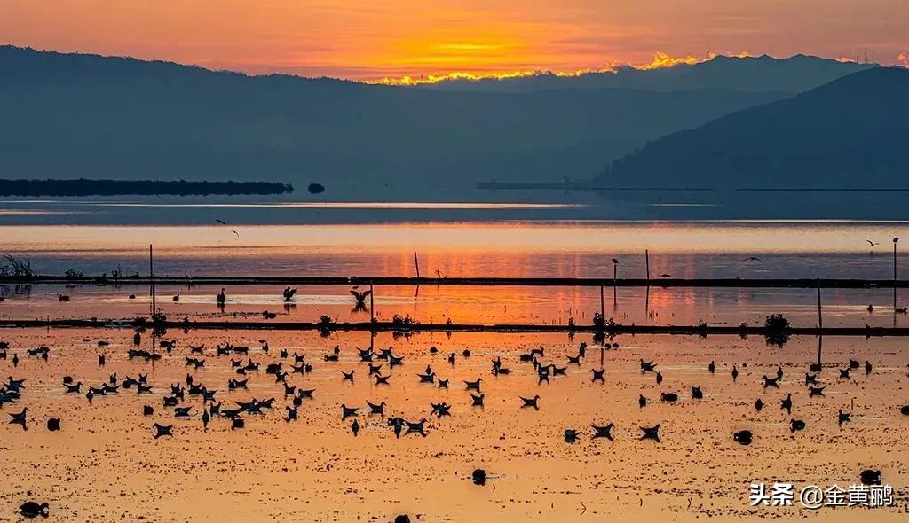 为什么云南女人长相好看,云南真的很漂亮吗