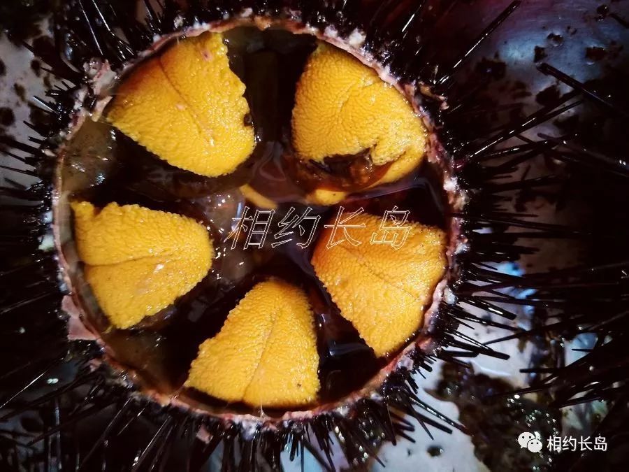 闀垮矝缃戠孩娴烽矞,闀垮矝娴烽矞澶ч鍥剧墖