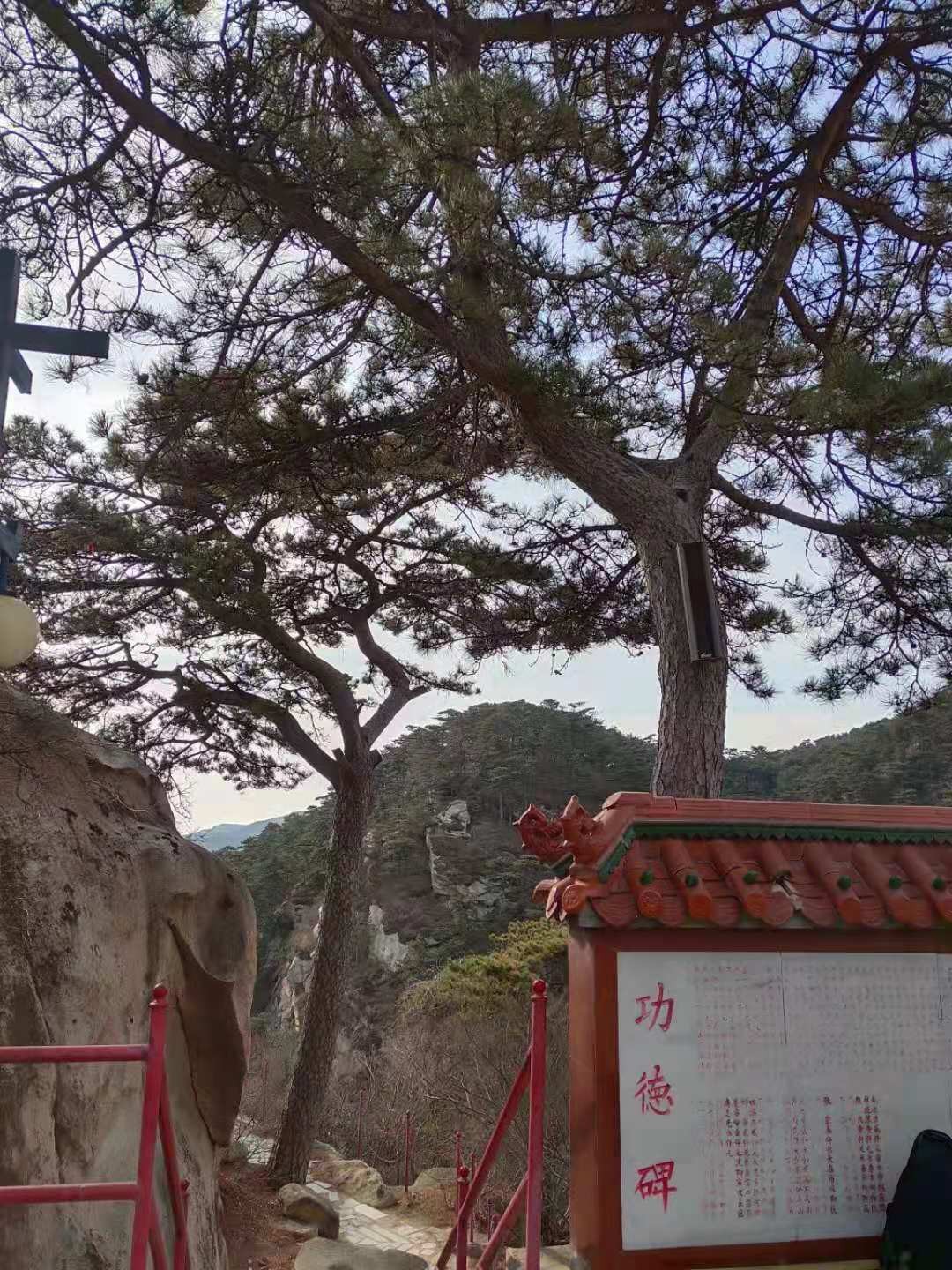 大连青岩寺歪脖老母怎么走,青岩寺歪脖老母在哪个城市