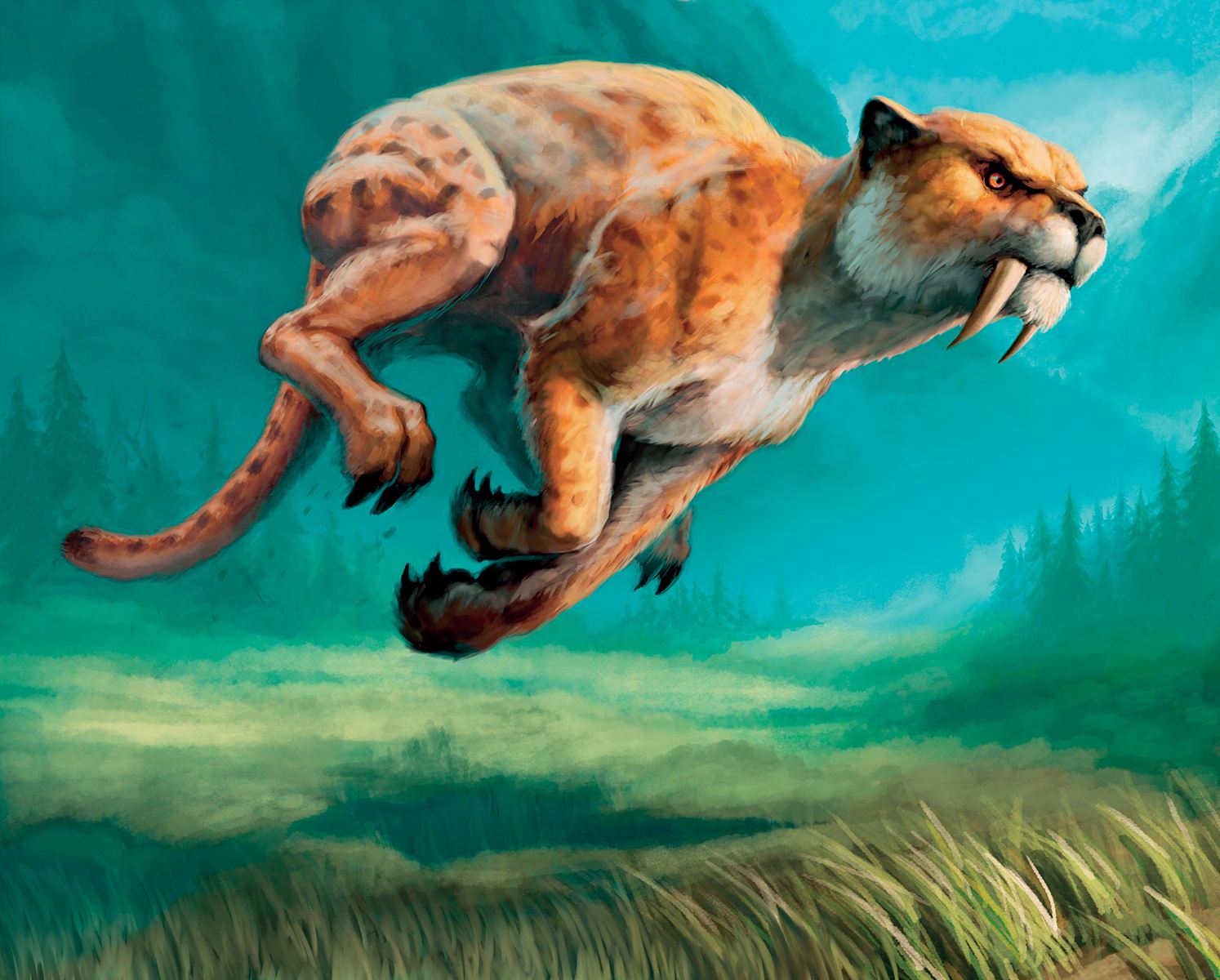 魔兽世界德鲁伊t1t2搭配,魔兽世界怀旧服tbc德鲁伊学习形态