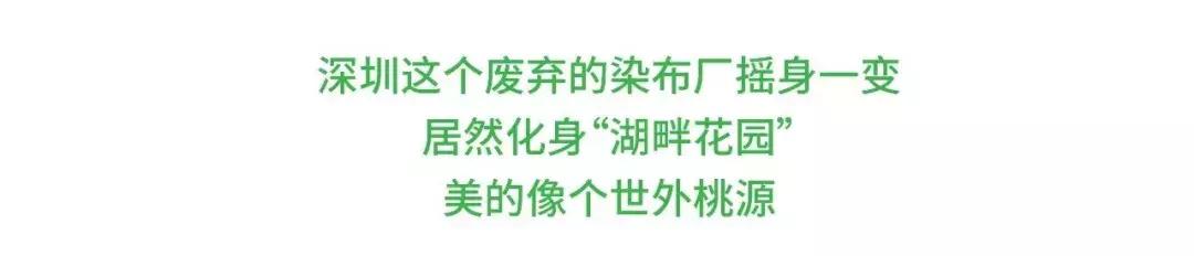 深圳「废弃染布厂」变废为宝，化身“湖畔花园”美若世外桃源！