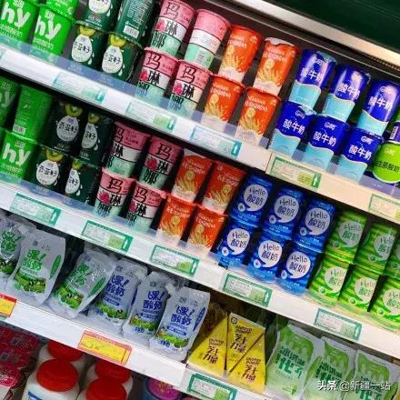 疆新域酸奶,新款新疆伊犁酸奶