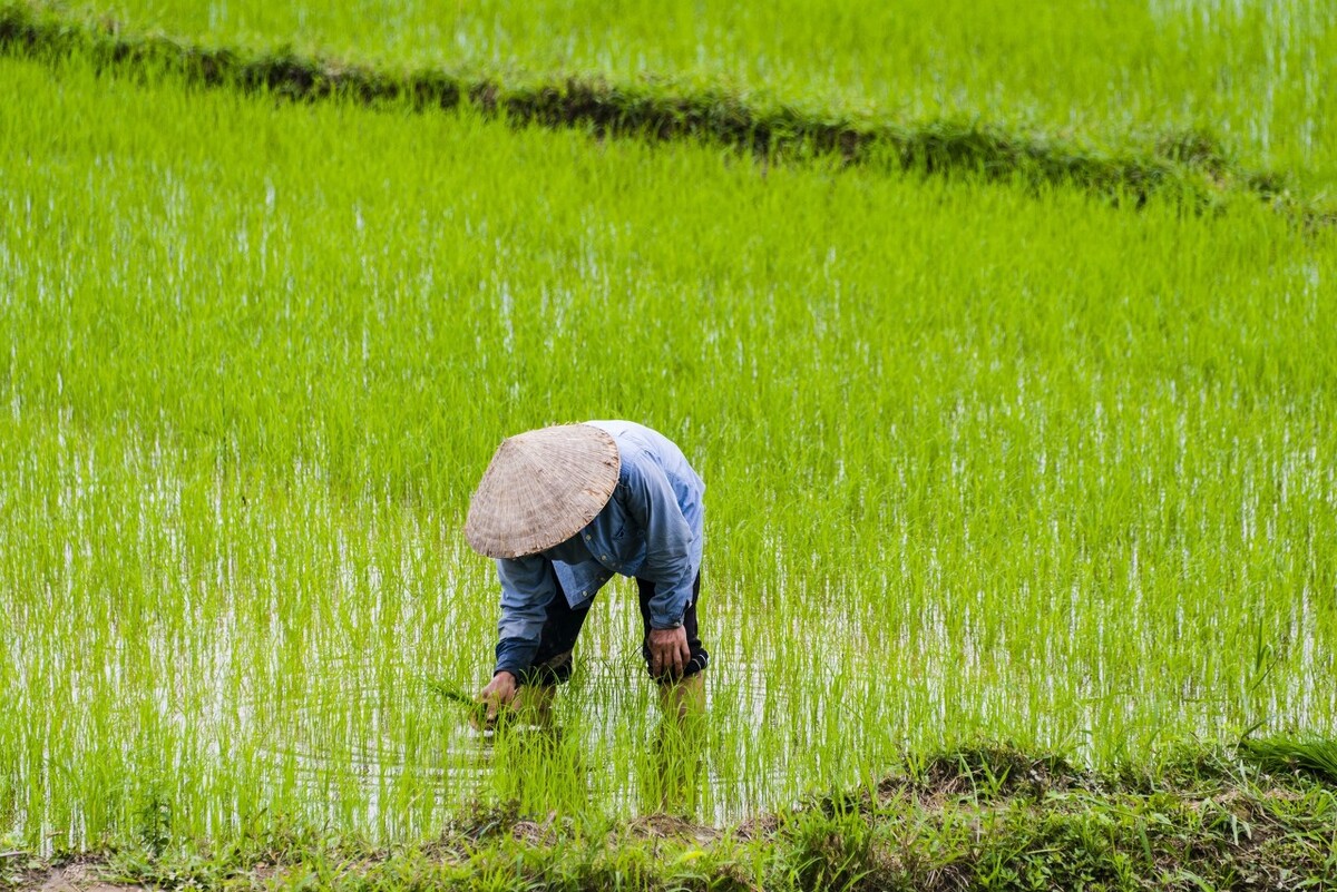 未来三年农民工项目,未来农民打工的发展前景