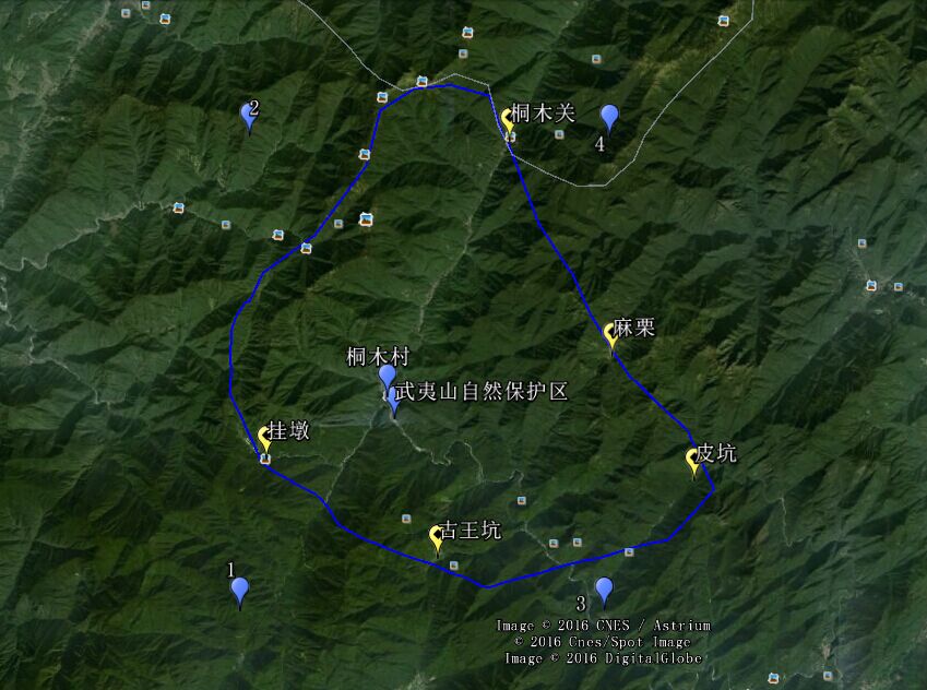 从业十年我所经历的火爆和低迷,茶行业真实揭露