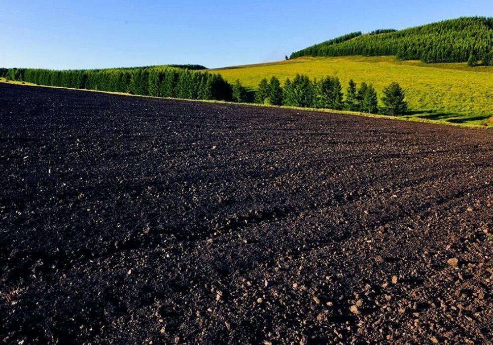 五颜六色的土壤是怎么形成的,科学为什么会有五颜六色的土壤