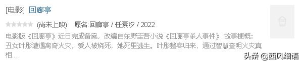 东野圭吾被翻拍过的影视剧,东野圭吾翻拍的电影哪些好看