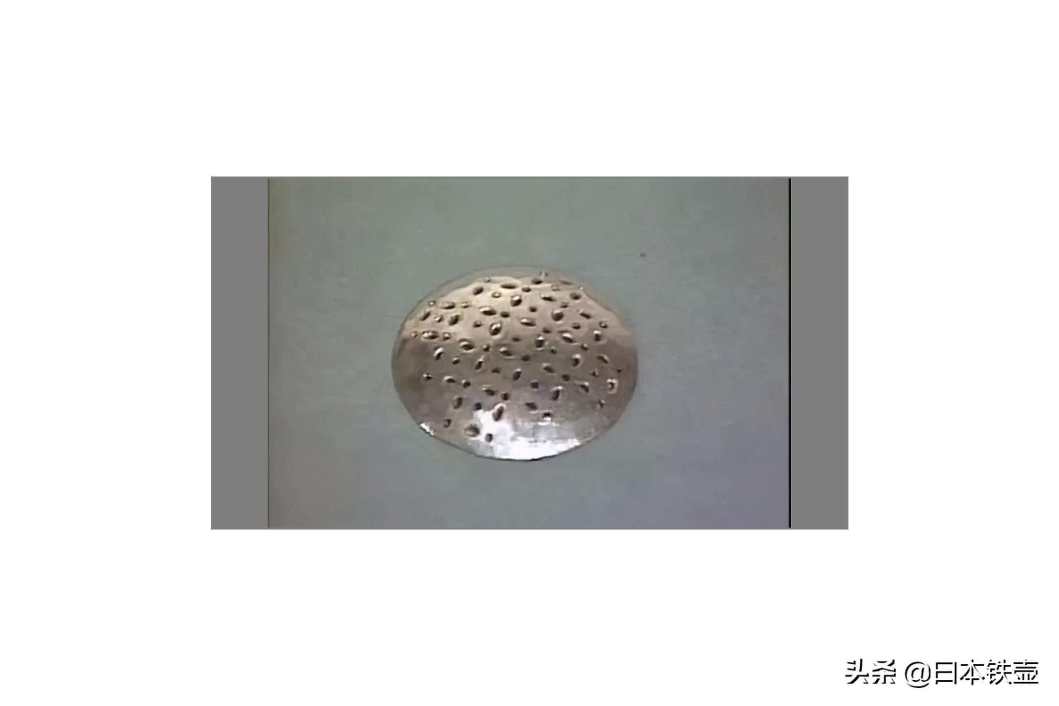 各位好,我是银壶,这是我的简历。希望大家喜欢我