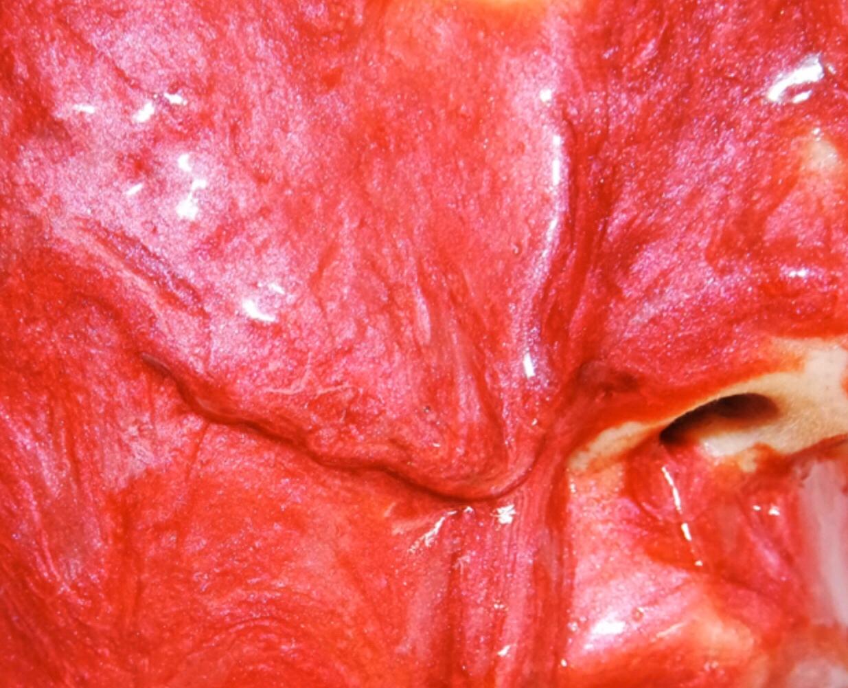 保湿滋润的药妆面膜,日本herashaw面膜