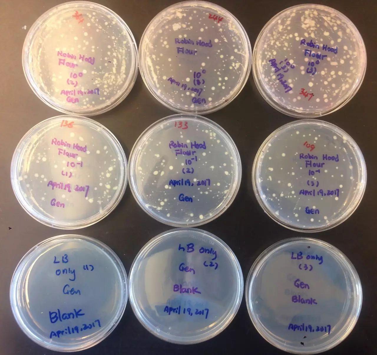 餐具消毒正确打开方式你知道吗?用臭氧水给餐具除菌消毒高效健康