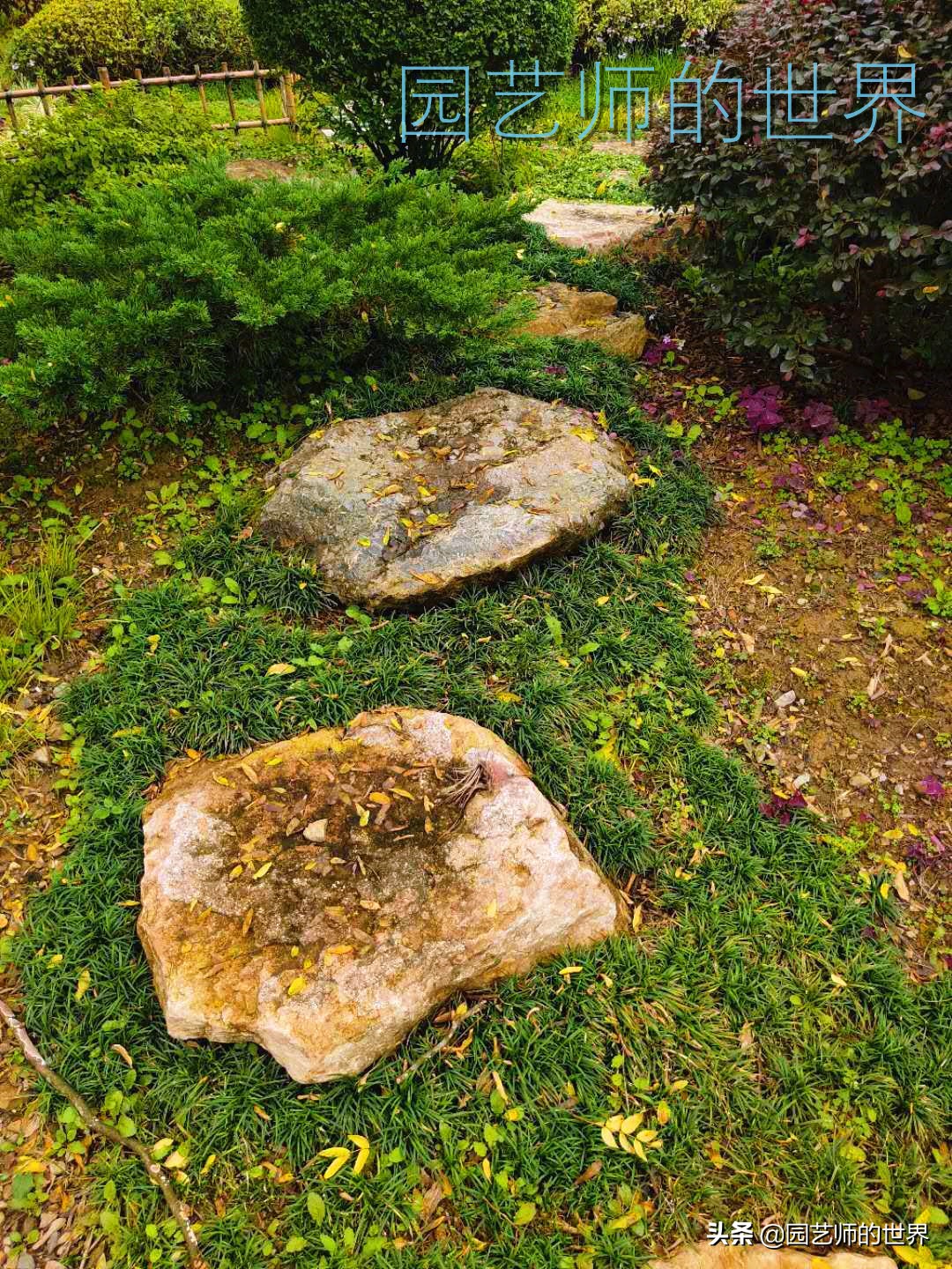 花园科学实验,花园案例及解析