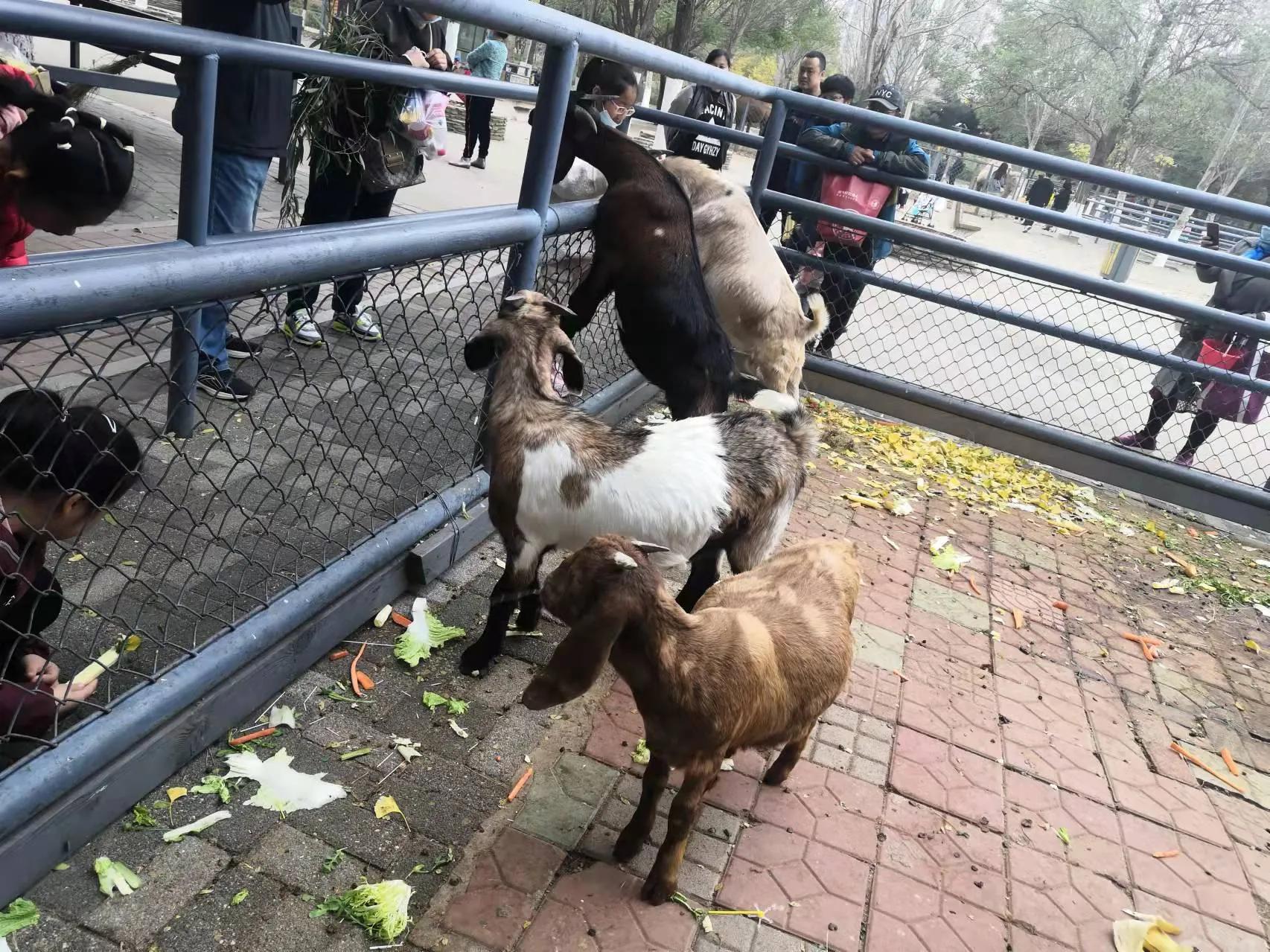 长白岛森林公园地铁,长白岛森林公园打卡攻略