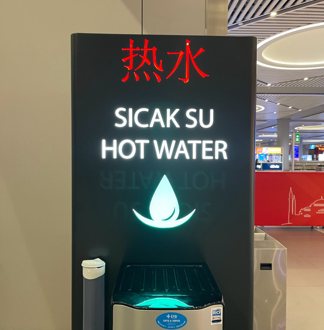 土耳其伊斯坦布尔撸猫圣地,4年后再出发