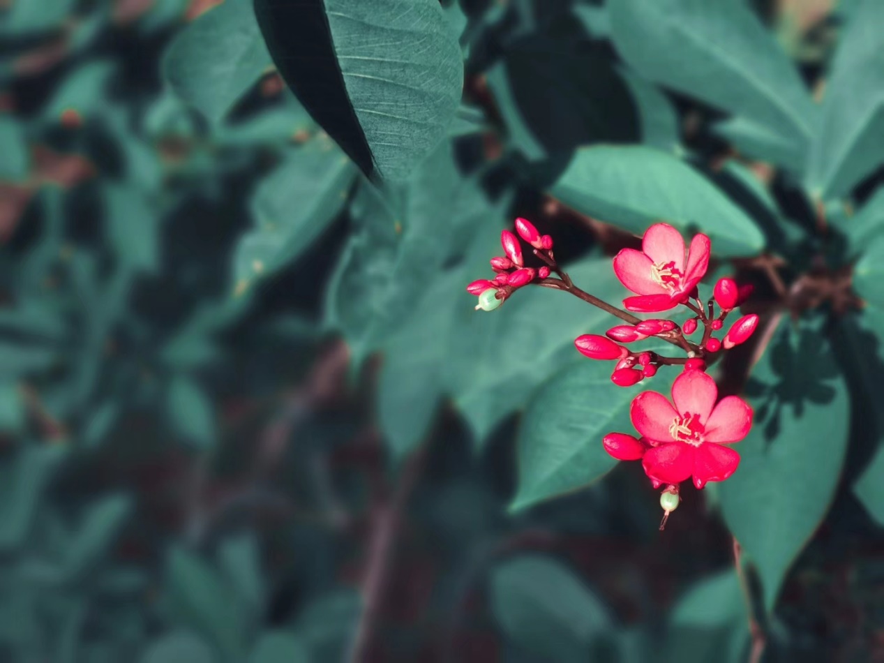 会计专业大学生的就业准备,会计专业毕业生应该如何规划