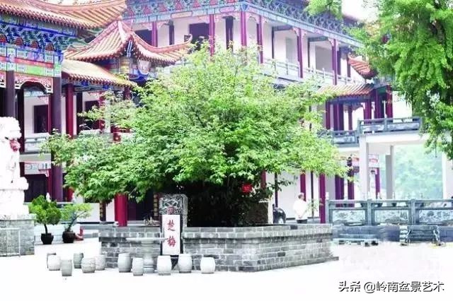中国十大千年古寺古刹之首,中国十大千年古尸容貌复原成功