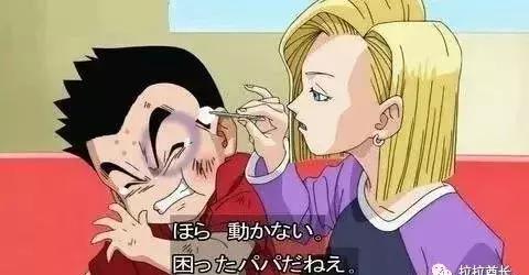 七龙珠龟仙流的残酷修行,七龙珠龟仙是谁