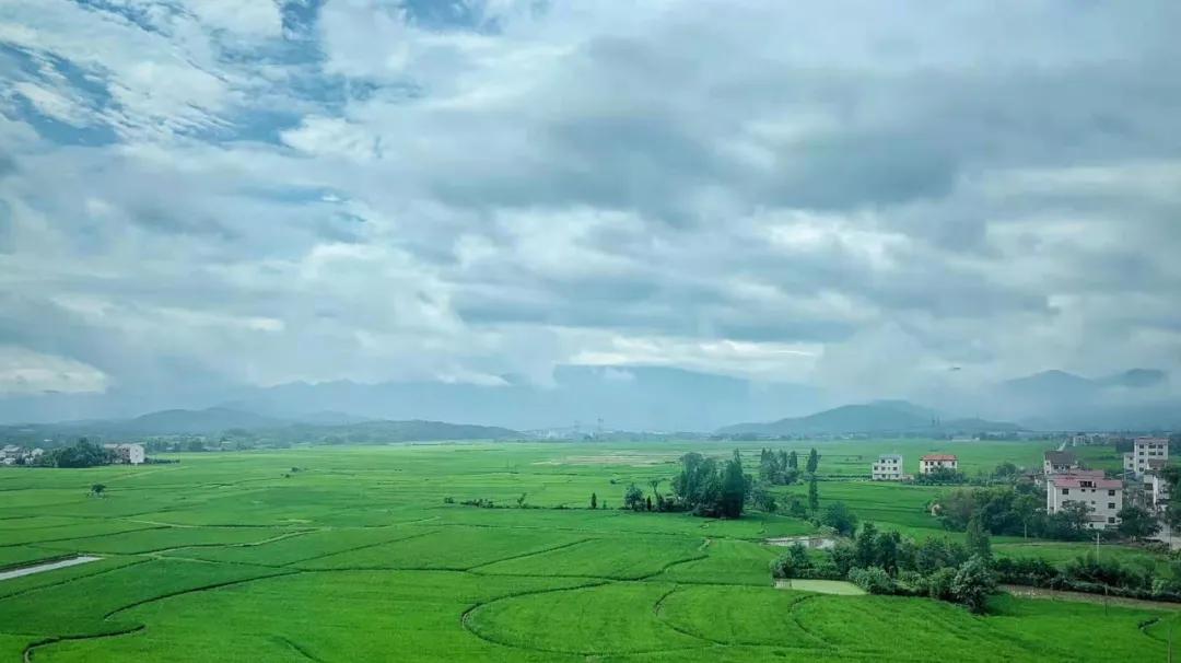 小李阿姨视频,小李阿姨生活视频