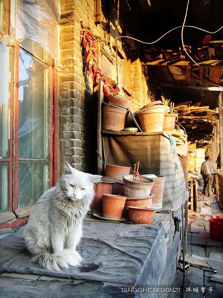 哈尔滨老街的回忆,回到百年前的老街