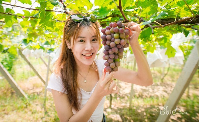 在江苏句容不光可以玩茅山，乡村旅游也做得很不错，游客都很赞