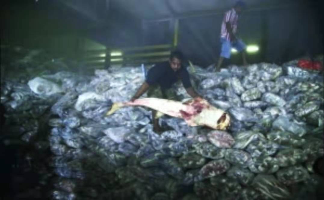 无数的血汗工厂,“*灯区红**”合法,泰国下一步该何去何从?