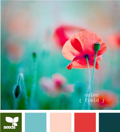 小清新风海报排版,怎么做波普风格海报