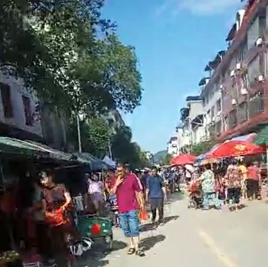 适合养老四季如春的低消费小镇,四季如春适合养老的小城