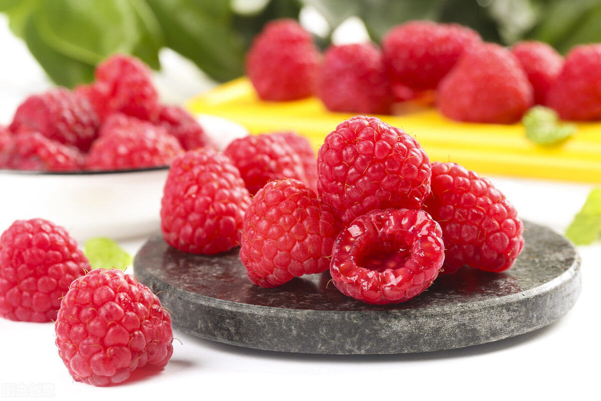 盆栽观果植物有哪些,观果植物具备哪些特征