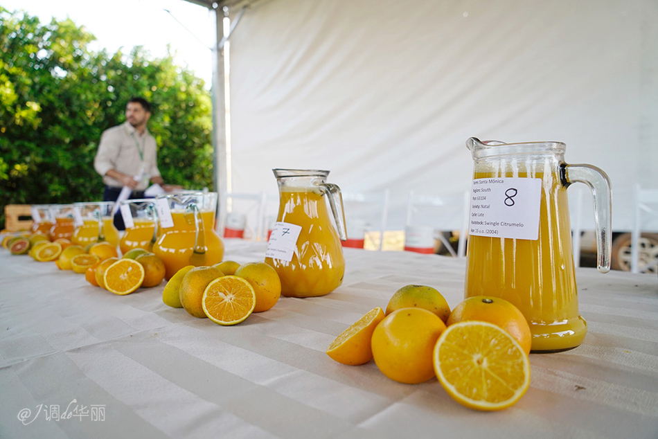 巴西像内马尔的人,巴西像