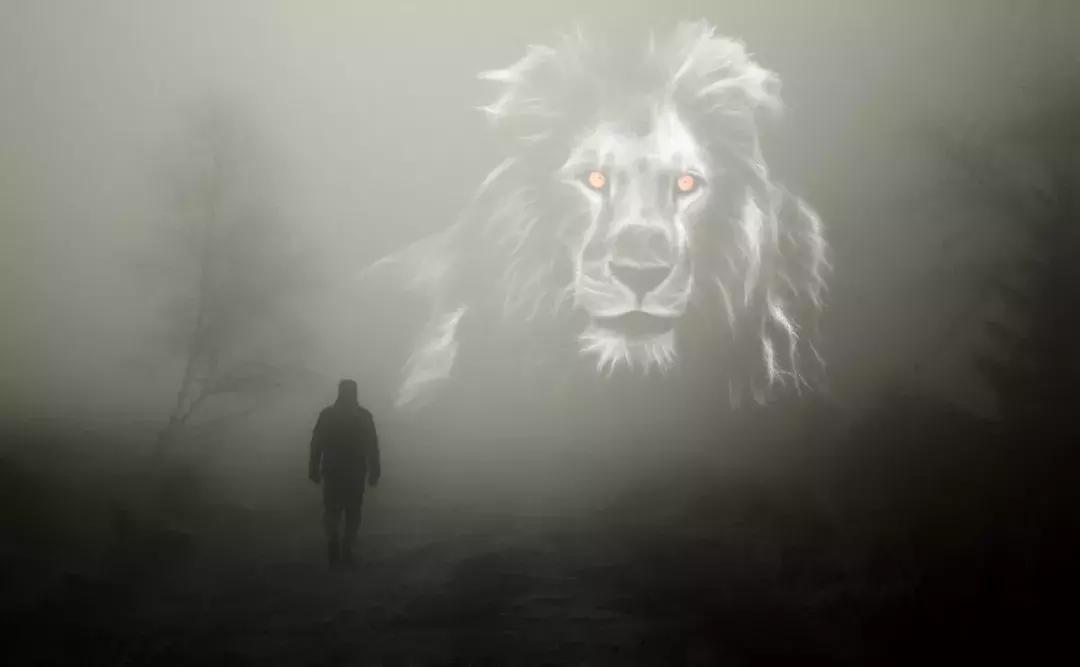 当前抗乙肝病毒药物的选择,目前最好最新的抗乙肝病毒药