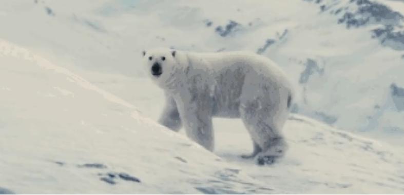 现在的顶流阵容,全顶流阵容