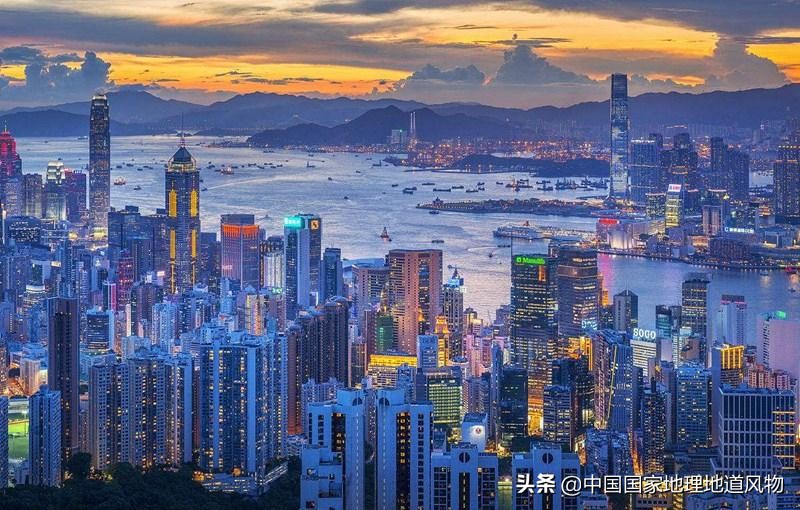 网友如何评价深圳这座城市,怎么夸赞深圳这个城市很美丽