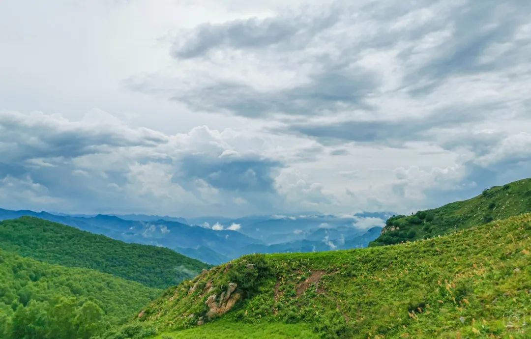 徒步穿越北驼梁完整版,穿越花海古道游记