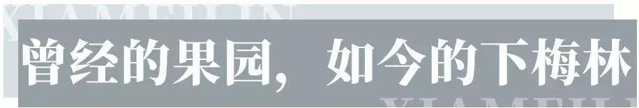 在福田区下梅林生活体验好吗,下梅林晚上适合去的地方
