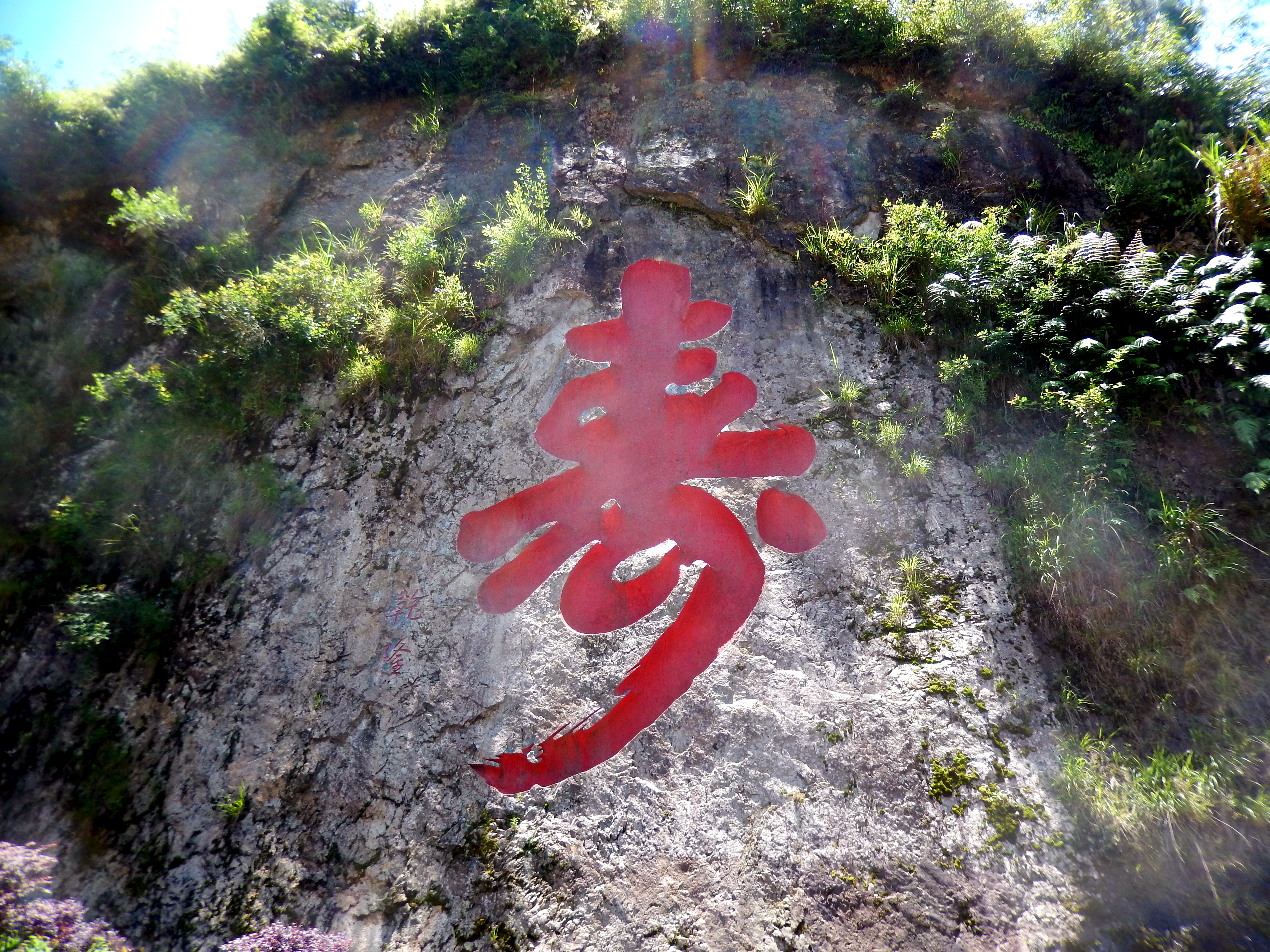 福建仙字潭摩崖石刻,石壁摩崖石刻