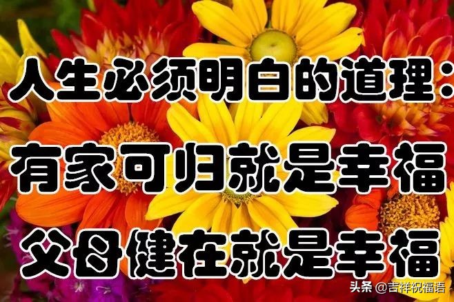 几句话送给未来的自己,几句话送给年轻的你们