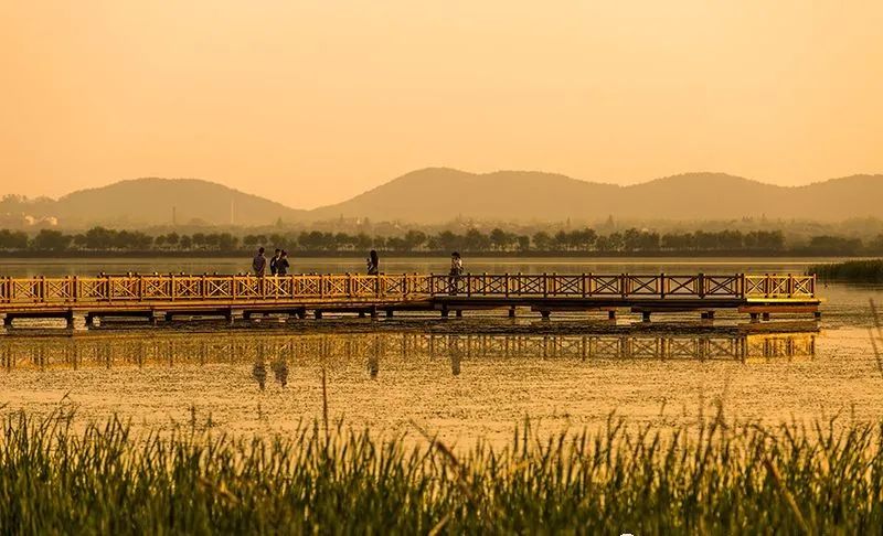 湖北千湖山水风景,湖北十大著名湖泊有哪些