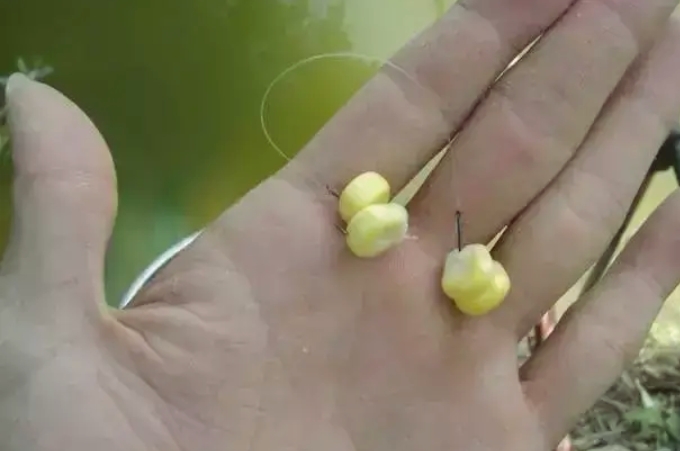 钓草鱼最快最有效的方法看一遍,现在钓草鱼技巧