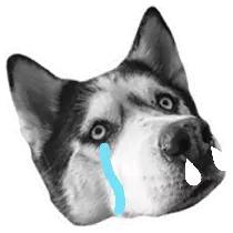 beatsstudio3wireless测评,beatssolo3wireless降噪测评