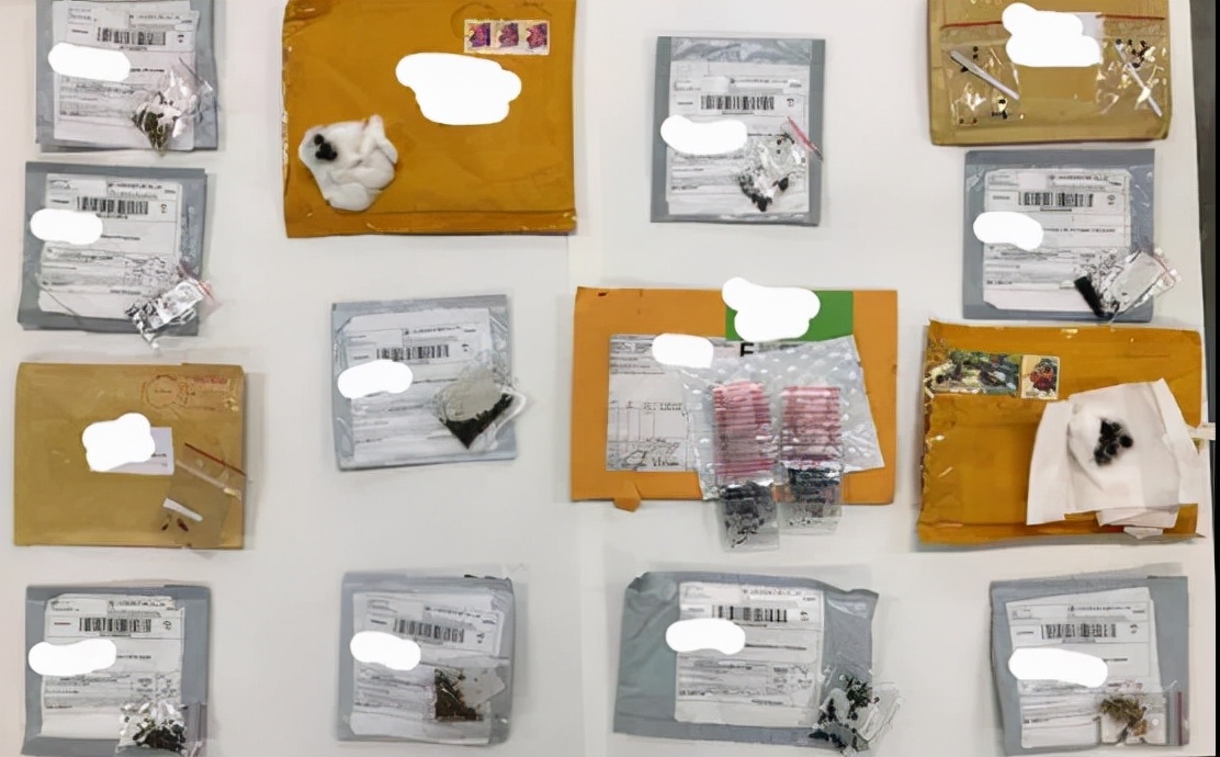 澳大利亚海关禁止物品,澳洲海关禁止携带出境的物品