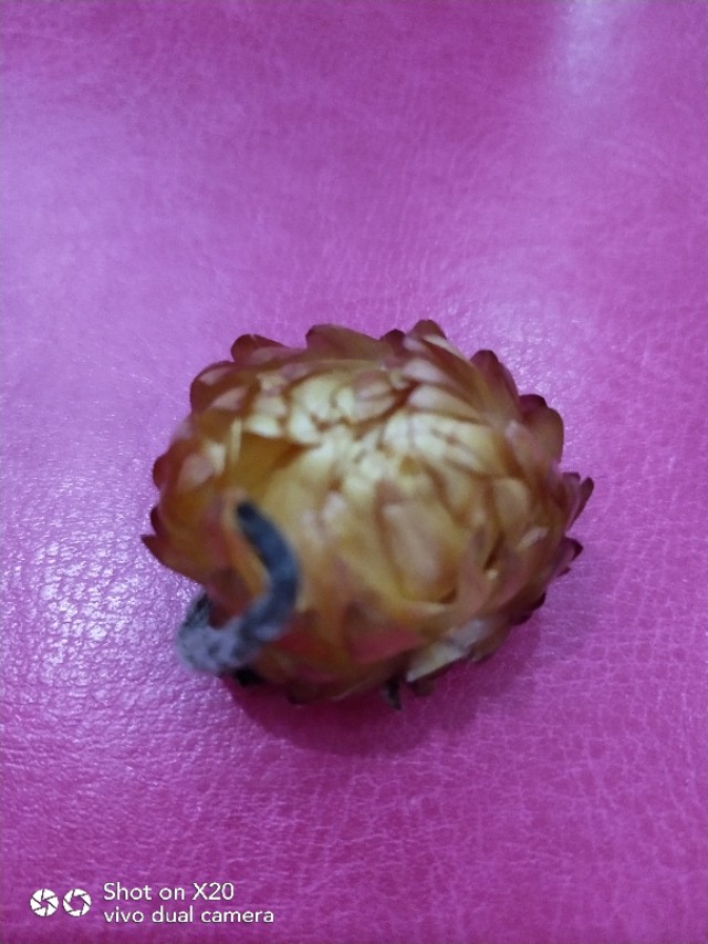 18岁了还能生孩子吗,24岁结婚生子人生还有希望吗